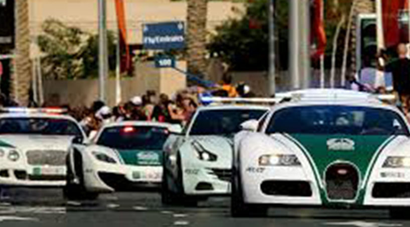 القط العراف